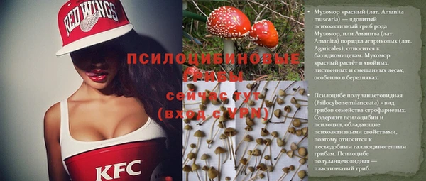 соль курить ск Бородино